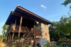 ขายที่ดินสวนลำพูนแปลงสวย น้ำใช้ตลอดปี ฟรีโอน แถมต่อธุรกิจสวนได้สบาย