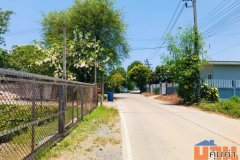 ขายที่ดินบางใหญ่ นนทบุรี 9 ไร่ ใกล้คลองประปามหาสวัสดิ์ ถนนกาญจนาภิเษก เซ็นทรัลเวสต์เกต มอเตอร์เวย์บางใหญ่กาญจนบุรี