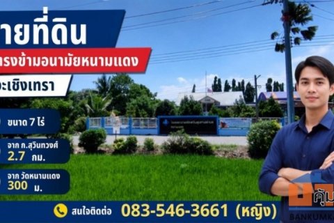 ขายที่ดิน 7-2-8 ไร่ ตรงข้ามอนามัยหนามแดง ใกล้วัดหนามแดง จ.ฉะเชิงเทรา
