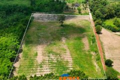 ขายที่ดิน 11 ไร่ บ้านหนองเม็ก หมู่ 15 ซอยบ้านม่วงหวานซอย 1 ต.หนองเหียง อ.พนัสนิคม ฝั่งบายพาส ห่างจาก ถนน 331 (1.5 กม.)