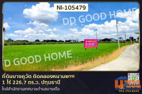 ที่ดินบางคูวัต ติดคลองหนามแดง 1 ไร่ 226.7 ตร.ว. ปทุมธานี ใกล้สำนักงานเทศบาลตำบลบางเดื่อ NI-105479
