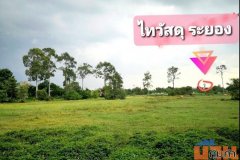 ที่ดินเปล่าระยอง หัวมุมแปลงสวย ติดถนน 3 ด้าน เหมาะทำ Apartment | โครงการจัดสรร 8-2-50 ไร่ ใกล้ IRPC