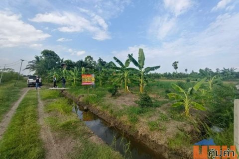 ขายที่ดินปทุมธานีราคาถูก
