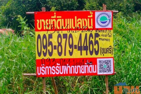 ขายที่ดินกรุงเทพหนองจอกราคาถูก