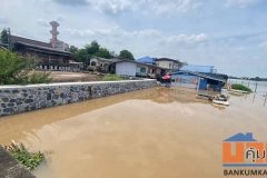 L901 ขายถูกที่สุดที่ดิน 109 ตรว สร้างเขื่อน ถมดิน ติดแม่น้ำเจ้าพระยา สามโคก ปทุมธานี ราคาขาย 8,890,000 บาท
