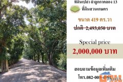 ขายที่ดินสวนเกษตร ลำลูกกาคลอง13