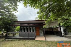 ให้เช่าบ้านเดี่ยวชั้นเดียว 30 ตร.ว. 1 ห้องนอน 1 ห้องน้ำ บ้านในสวน ร่มรื่น อำเภอเดิมบางนางบวช จ.สุพรรณบุรี