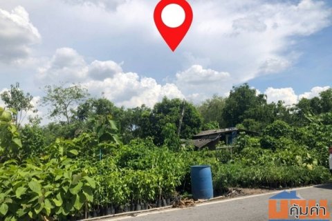 ที่ดินติดถนน-ติดคลอง ทำเลดี ใกล้ชุมชน เจ้าของขายเอง (โฉนดพร้อมโอน)