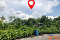 ที่ดินติดถนน-ติดคลอง ทำเลดี ใกล้ชุมชน เจ้าของขายเอง (โฉนดพร้อมโอน)