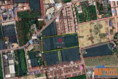 ขายที่ดิน ซอยโรมัน ตำบลสามพราน อำเภอสามพราน นครปฐม เนื้อที่ 8 ไร่