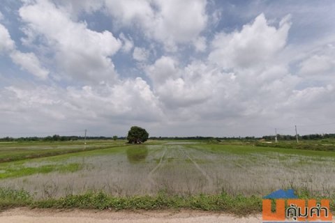 ขายที่ดิน ที่นา พิษณุโลก อำเภอวังทอง 19 ไร่ สวยมาก วิวนาสวย อากาศดี เงียบสงบ โทร 063-2825635