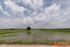ขายที่ดิน ที่นา พิษณุโลก อำเภอวังทอง 19 ไร่ สวยมาก วิวนาสวย อากาศดี เงียบสงบ โทร 063-2825635