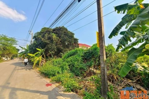 ขายที่ดินกทม.ตลิ่งชันราคาถูก