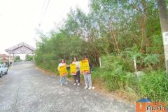 ขายที่ดินกทม. บางละแวก 154 ราคาถูก