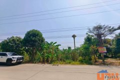 ขายที่ดินปทุมธานีกุญชร2ราคาถูก