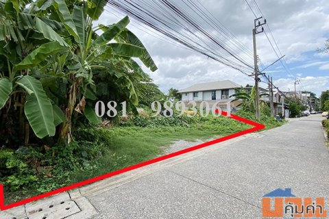 ขายที่ดินถมแล้ว 227.5 ตรว. แปลงสี่เหลี่ยมผืนผ้า ซ.ภาวนา 41 แยก 12
