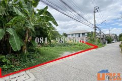 ขายที่ดินถมแล้ว 227.5 ตรว. แปลงสี่เหลี่ยมผืนผ้า ซ.ภาวนา 41 แยก 12