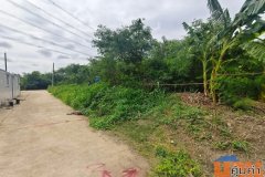 ขายที่ดินกรุงเทพเขตภาษีเจริญราคาถูก