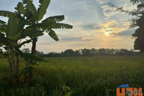 ขายที่ดินสวย บ้านร้องขี้เหล็ก ติดถนน ติดน้ำไหลตลอดปี ทำเลศักยภาพสูง (วงแหวนรอบ 4 ตัดผ่านที่ดิน)