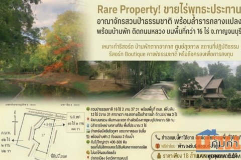 🌳 Rare Property! ขายอาณาจักรสวนป่าธรรมชาติ พร้อมลำธารกลางแปลง วิวภูเขาด้านหลัง ต้นไม้ใหญ่ทั้งสวน จ.กาญจนบุรี