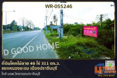 ที่ดินโคกไม้ลาย 46 ไร่ 311 ตร.ว. แยกหนองชะอม เมืองปราจีนบุรี ใกล้ มจพ.วิทยาเขตปราจีนบุรี WR-055246
