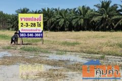 ขายที่ดิน หนองชาก บ้านบึง ชลบุรี ใกล้นิคมอุตสาหกรรมแห่งใหม่ 1.5 กม. เหมาะสร้างคลังสินค้า บ้านจัดสรร