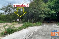 ขายที่ดิน ชัยพฤกษ์ บางนา-ตราด กม.18 สมุทรปราการ ประเมินวาละ22,000 ขายเพียงวาละ13,000