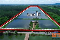 ขายที่ดิน 250 ไร่ ตำบลหนองหมู อำเภอวิหารแดง จังหวัดสระบุรี ที่ดินแปลงใหญ่ เหมาะทำการเกษตรและลงทุน