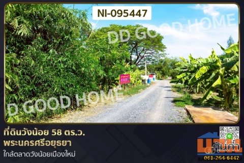 ที่ดินวังน้อย 58 ตร.ว. พระนครศรีอยุธยา ใกล้ตลาดวังน้อยเมืองใหม่ NI-095447