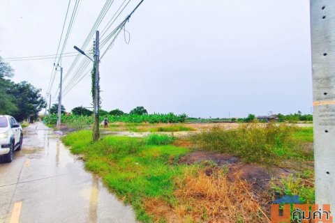 ขายที่ดินนนทบุรีราคาถูก