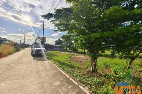 ขายที่ดินปทุมธานีราคาถูก