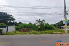 ขายที่ดินปทุมธานีราคาถูก