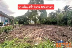 ขายที่ดินติดแม่น้ำเจ้าพระยา อำเภอพยุหะคีรี นครสวรรค์