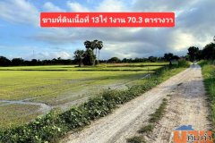 แบ่งขายที่ดิน ติดถนน 13-1- 70.3 ตร.ว. (เจ้าของขายเอง)