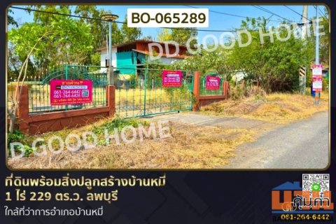 ที่ดินพร้อมสิ่งปลูกสร้างบ้านหมี่ 1 ไร่ 229 ตร.ว. ลพบุรี ใกล้ที่ว่าการอำเภอบ้านหมี่ BO-065289