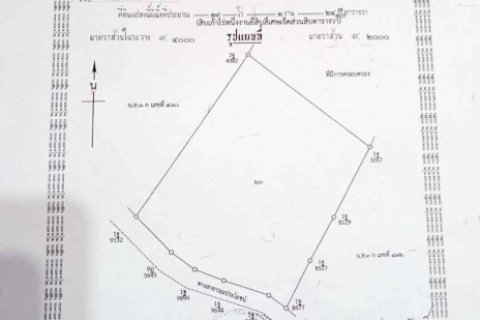 ขายที่ดิน ทำเลทอง อำเภอสังคม จังหวัดหนองคาย