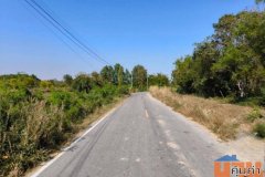 ขายที่ดินพร้อมสวนมะพร้าว อยู่ในเขตชุมชน มี น้ำ ไฟพร้อม ห่างจากตัวเมืองอุดร 20 นาที