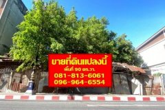 ขายที่ดินเปล่า 90 ตร.วา ใกล้ตลาดเทศบาลเมืองเพชรบุรี