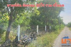 ขายที่สวน มีโฉนด อยู่ใกล้ถนนหลัก อ.ดอนเจดีย์  จ.สุพรรณบุรี