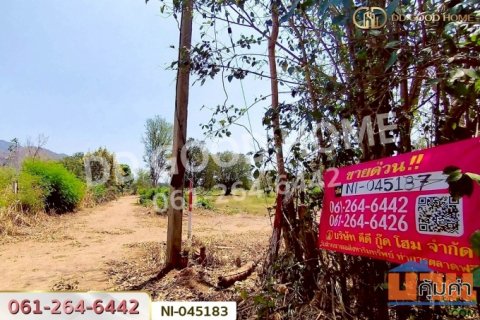 ที่ดินปากช่อง 14 ไร่ 323 ตร.ว. พญาเย็น นครราชสีมา ใกล้The wild เขาใหญ่ NI-045183