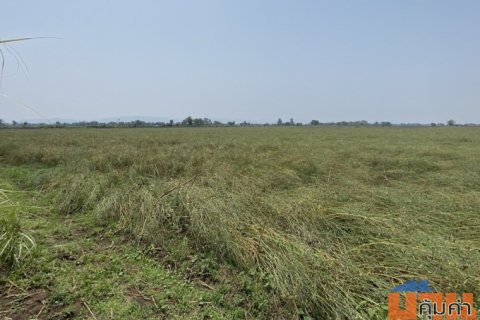 ขายที่ดินนา เพชรบูรณ์ อำเภอหนองไผ่ ผู้เช่าพร้อม ทำเลน่าลงทุน