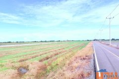 ขายที่ดินเปล่า ขนาดใหญ่  ราคาดี ทำเลบางเลน จ.นครปฐม