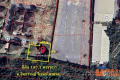 ขายที่ดิน ในหมู่บ้านสิทธารมย์ รีเจ้นท์ ศรีนครินทร์ เนื้อที่ 197 ตร.ว. แปลงสวย ถมแล้ว