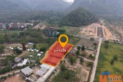 ขายที่ดินเขาใหญ่ 2-1-73 ไร่ บรรยากาศธรรมชาติ วิวภูเขา ต.หมูสี อ.ปากช่อง