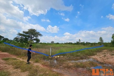 ขายที่ดิน โฉนด น.ส.3ก. อยู่ใกล้ชุมชนห้วยยายจิ๋ว ชัยภูมิ