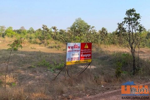 ขายด่วน! ที่ดินอุบลฯ ทำเลดี อ.พิบูลมังสาหาร ราคาคุ้มค่าสุดๆ