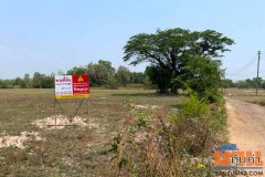 ขายด่วน! ที่ดินสวย อ.เมืองศรีสะเกษ 5 ไร่กว่า ทำเลดี ราคาแตะต้องได้