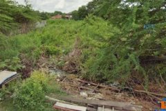 ให้เช่าที่ดิน ซอยไปรษรีย์ฺ ในซอยธรรมรัตน์