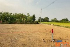 พลาดไม่ได้! ที่ดินถมแล้ว วิวภูเขาและวิวทุ่งนาสวย อ.เมือง เชียงใหม่ ใกล้ Central Festival 15 นาที