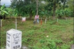 ขายที่ดิน จ.เลย  8-2-29 ไร่ ติดถนนหลัก เส้น 201 เลย-เชียงคาน  ต.ศรีสองรักษ์ อ.เมือง จ.เลย